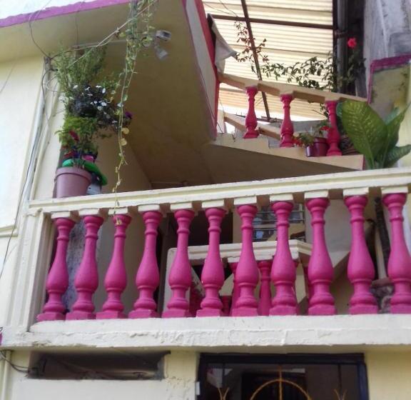 スタンダードルーム, Economico