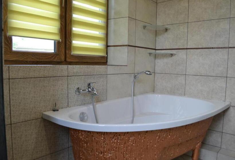 آپارتمان 1 خوابه با بالکن, Romantic Guest House