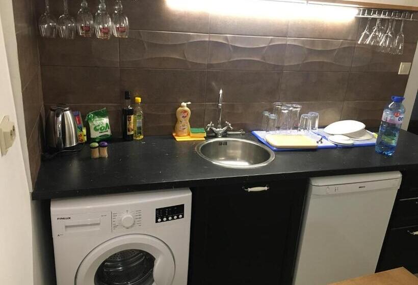 Appartement op de Begane Grond met 1 Slaapkamer, Sofia Family House   Free Parking