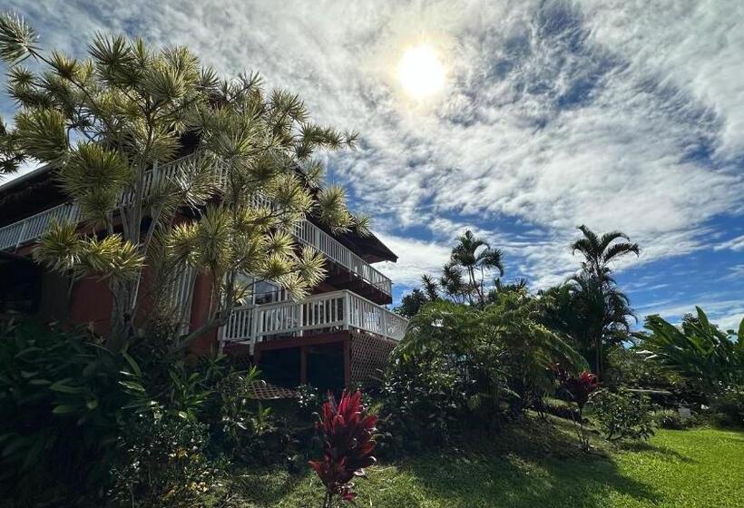 غرفة إقتصادية, Coffee Garden