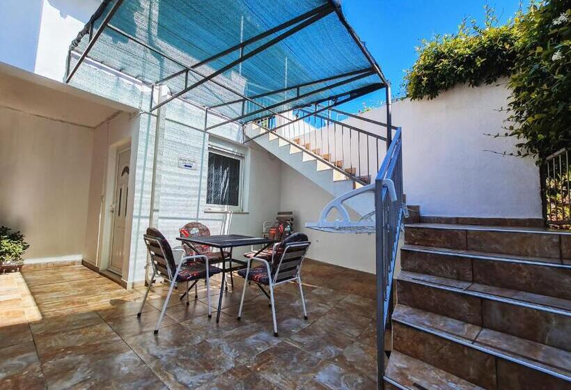 استودیوی استاندارد, Guest House Davorka