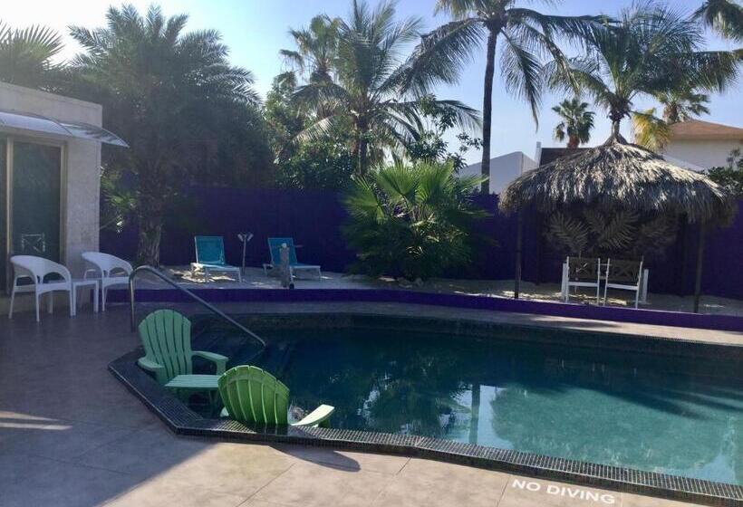 استودیوی لوکس, Sandcastle Beach Apartments