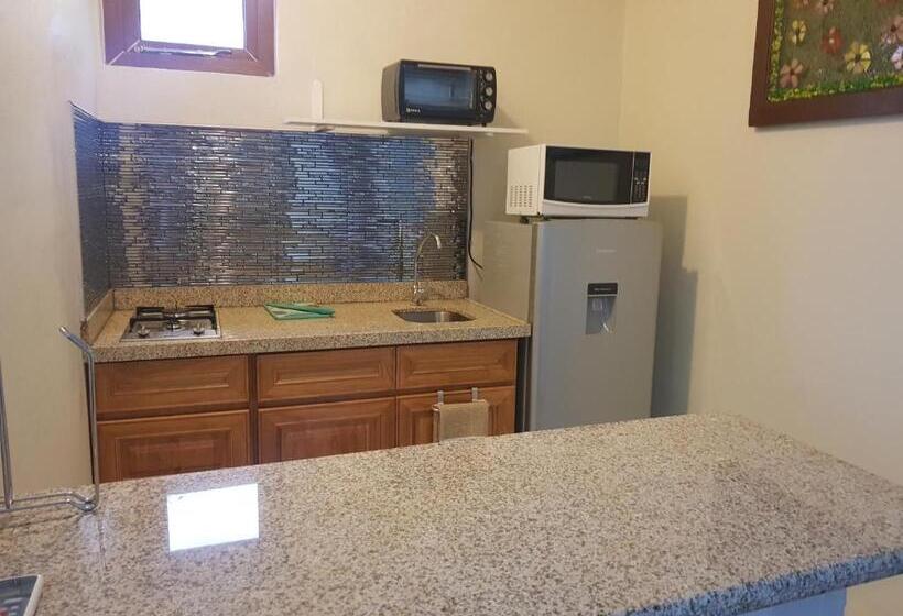 استودیوی استاندارد, Sandcastle Beach Apartments