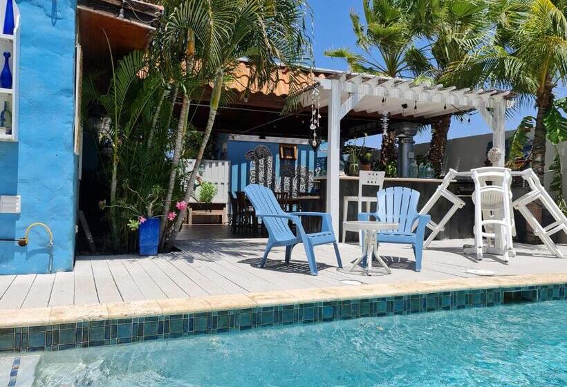 استودیوی استاندارد, Sandcastle Beach Apartments