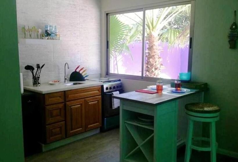 استودیوی لوکس, Sandcastle Beach Apartments