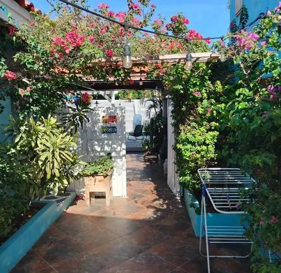 استودیوی استاندارد, Sandcastle Beach Apartments