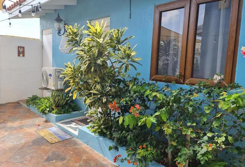 استودیوی استاندارد, Sandcastle Beach Apartments