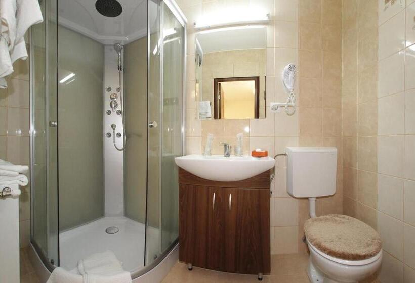 اتاق استاندارد, Pensiunea Muresul