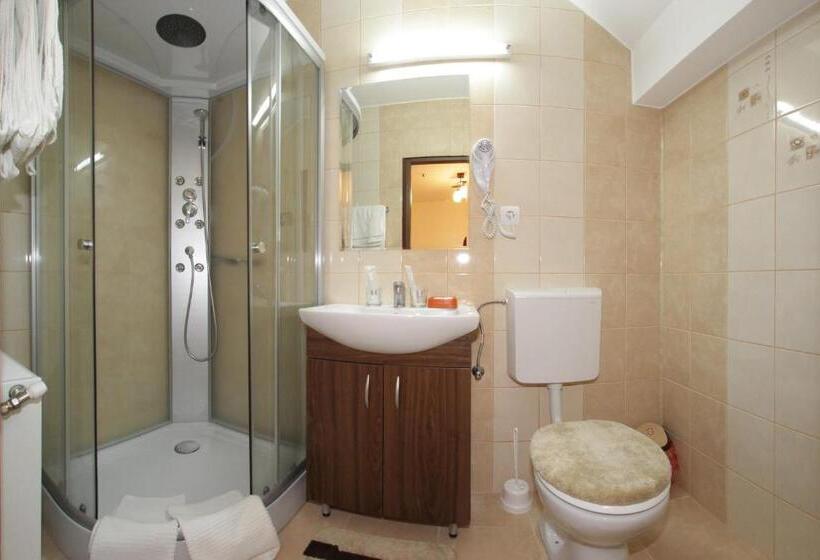 اتاق اکونومی, Pensiunea Muresul