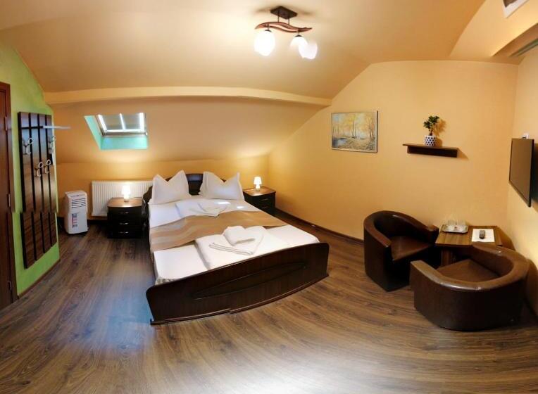 اتاق اکونومی, Pensiunea Muresul