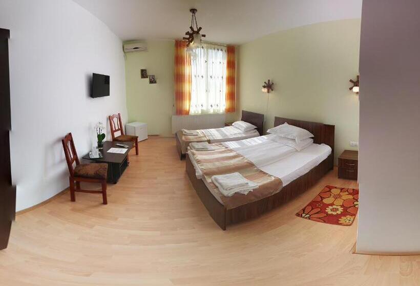 اتاق سوپریور, Pensiunea Muresul