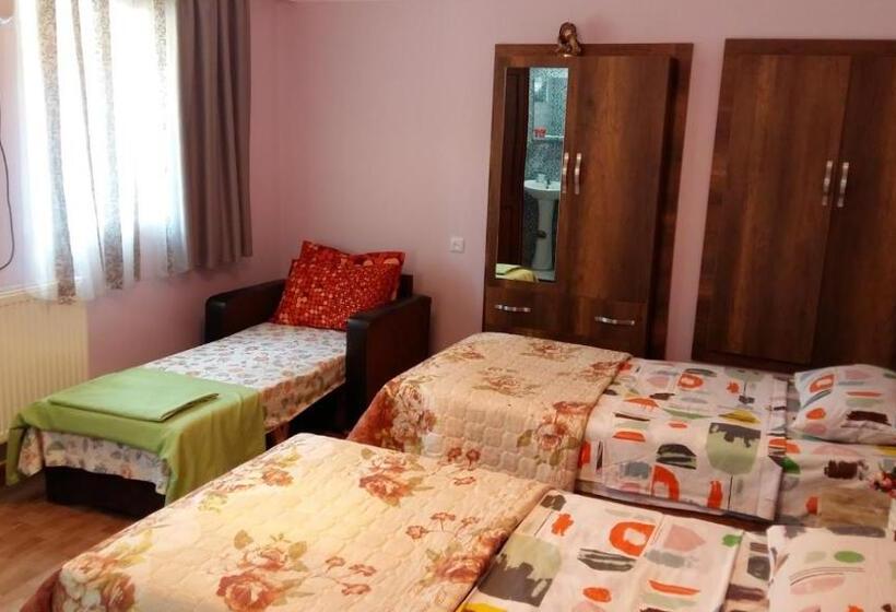 اتاق استاندارد با چشمانداز باغ, Guest House Panda