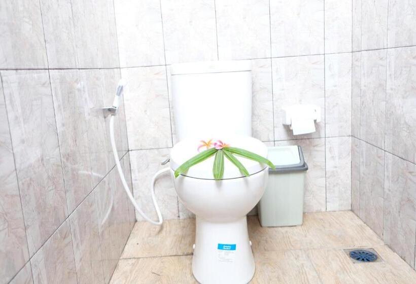 غرفة إقتصادية, 221 House Ceningan