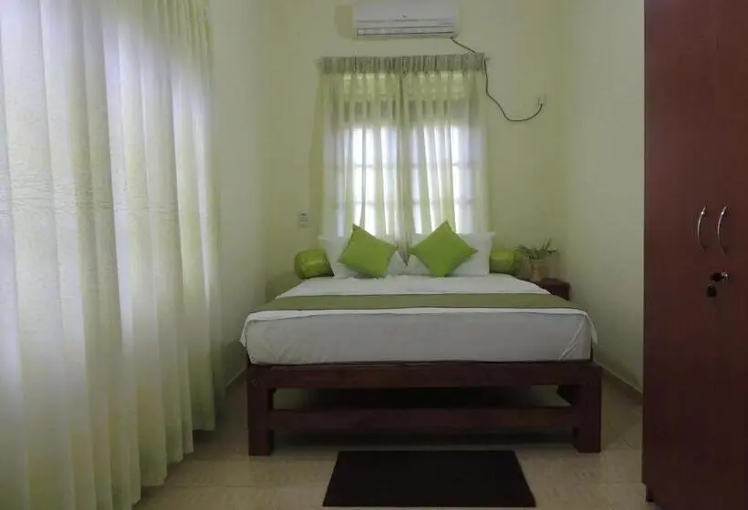 اتاق لوکس, Arana Bungalow