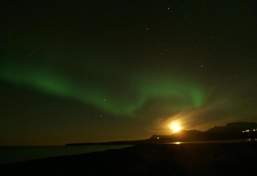 اتاق استاندارد, Bikers Paradise