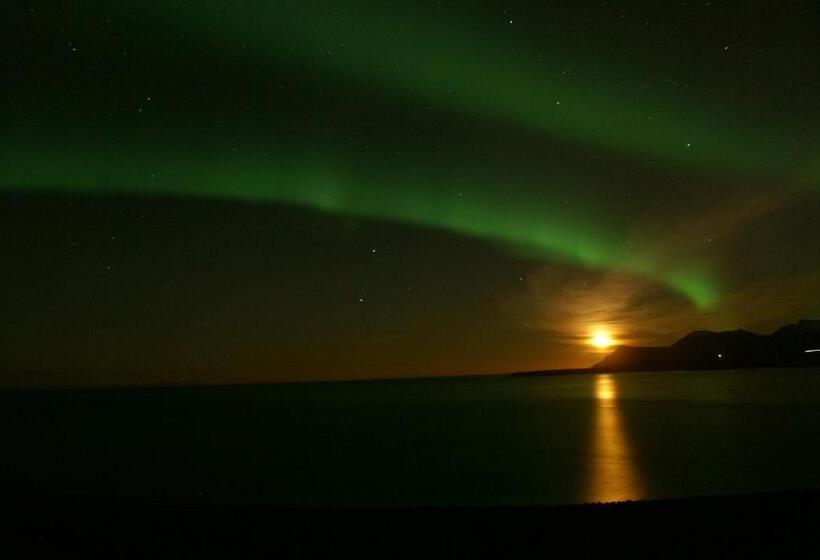 اتاق استاندارد, Bikers Paradise