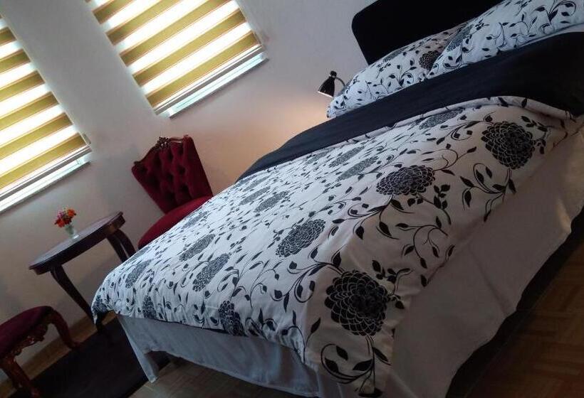 آپارتمان لوکس 1 خوابه, Guesthouse Jelic