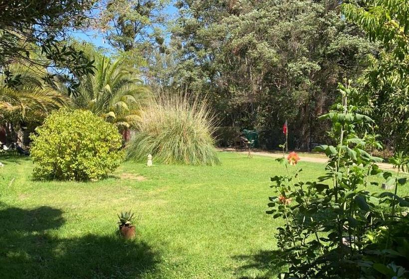 スイート, La Casa Vinilla