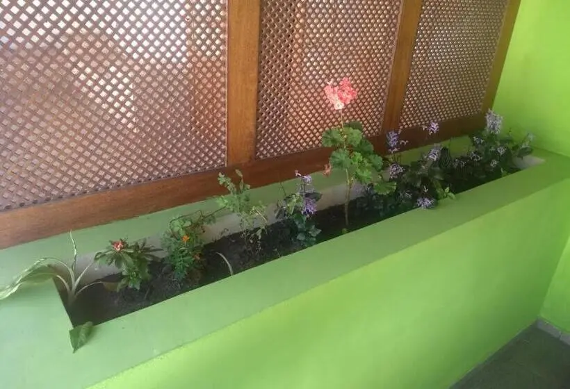 エコノミールーム, Rock N Hostel