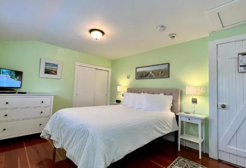 Standard-huone, Dragonfly Guest House