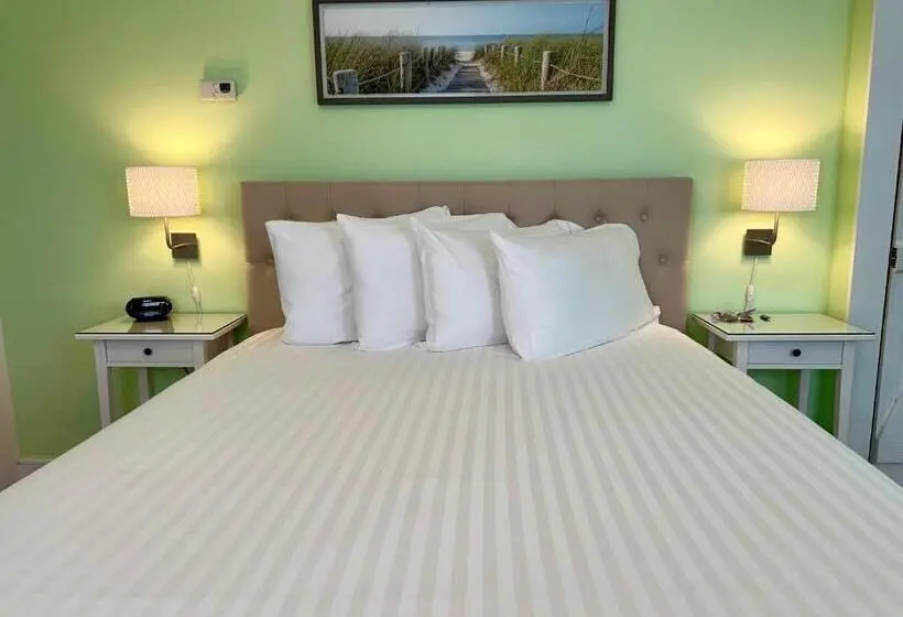 Standard-huone, Dragonfly Guest House
