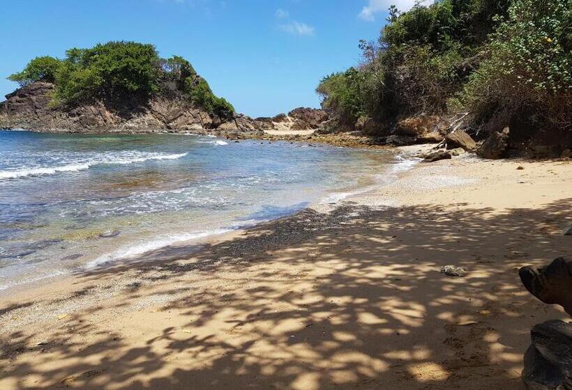 آپارتمان 1 خوابه, Lillibets