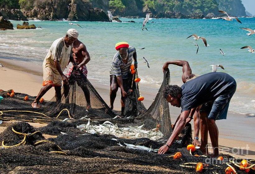 آپارتمان 1 خوابه, Lillibets