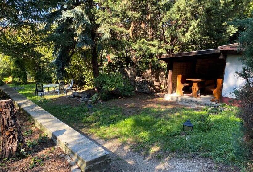 Номер Стандарт, öregház 1839