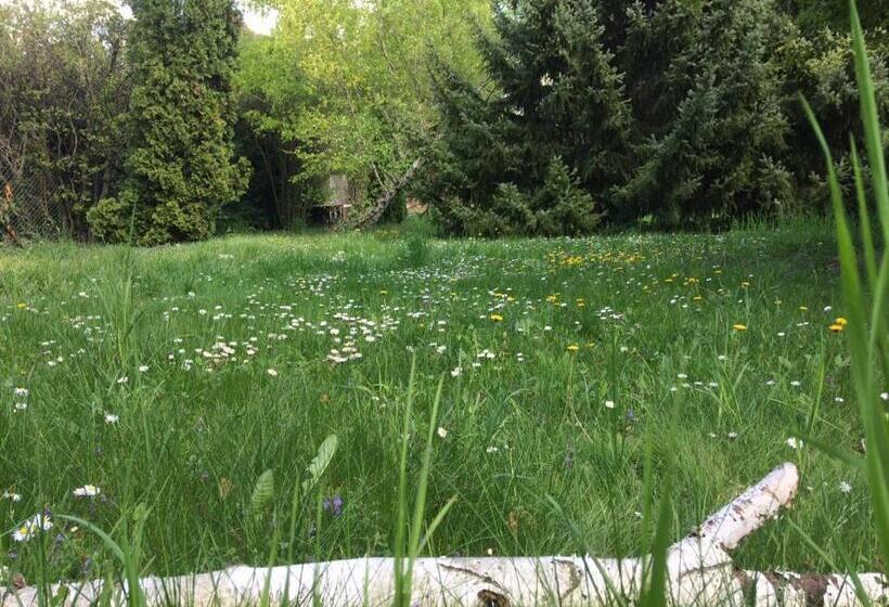 Апартаменты 2 Спальни, öregház 1839