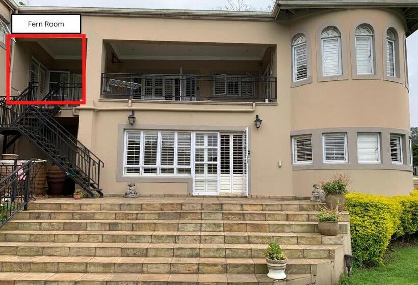 סטודיו נוח, Springside House