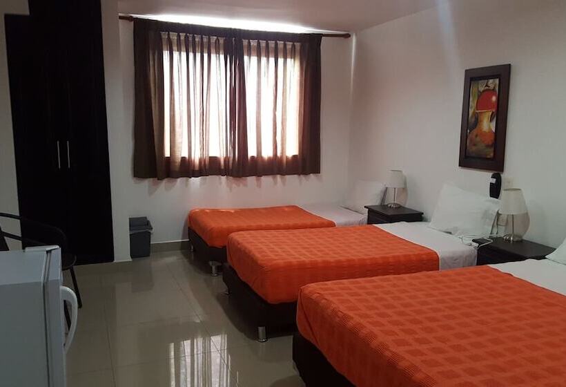 اتاق کلاسیک چهارنفره, Aussie Koala