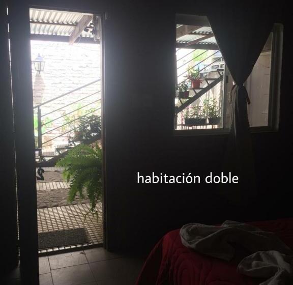 스탠다드 룸, Complejo Navi