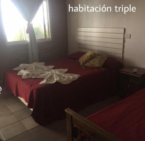 스탠다드 트리플 룸, Complejo Navi