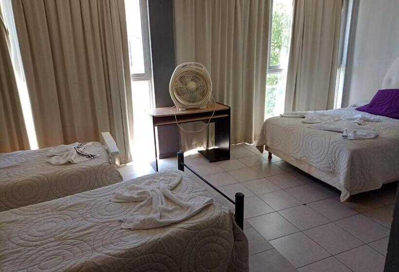 침실 1개 아파트, Complejo Navi