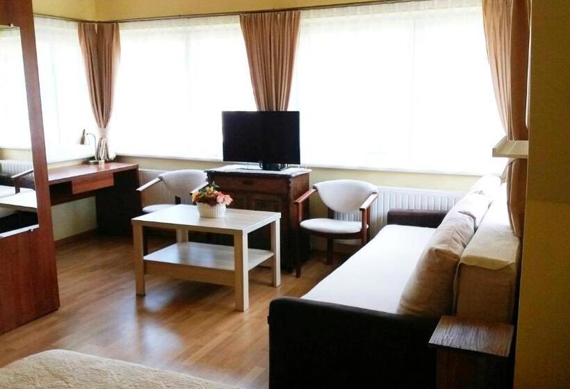 اتاق خانوادگی, Vila Liepa