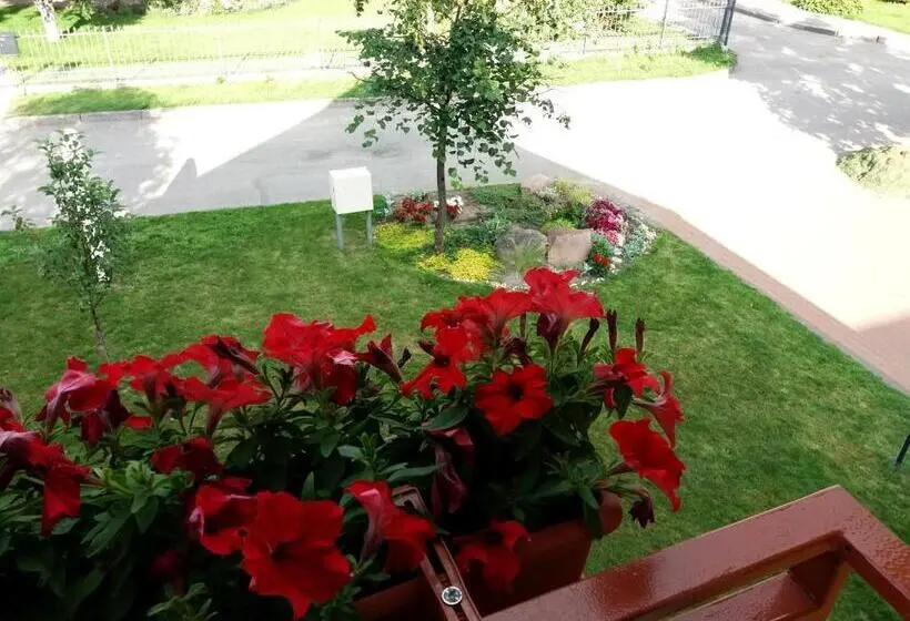 استودیوی استاندارد, Vila Liepa