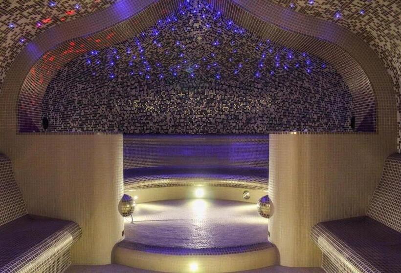 اتاق سوپریور, Vila Liepa