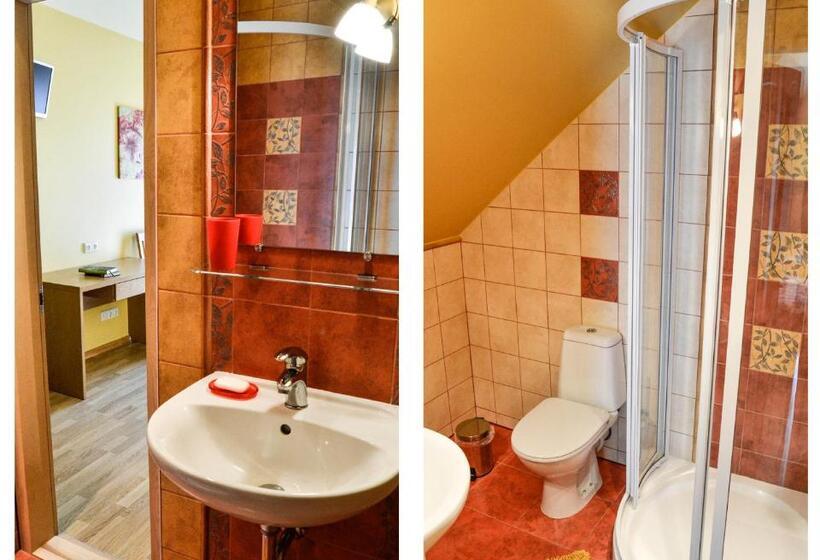 اتاق سوپریور, Vila Liepa