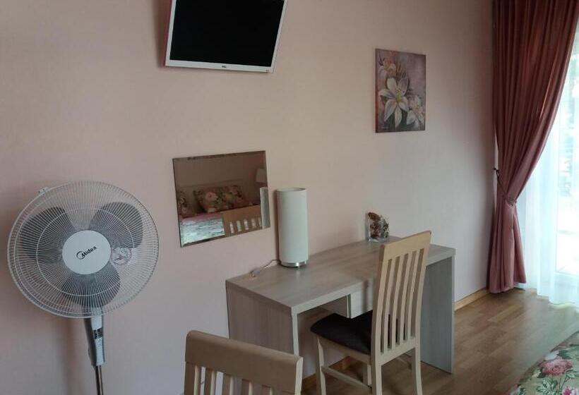 استودیوی استاندارد, Vila Liepa