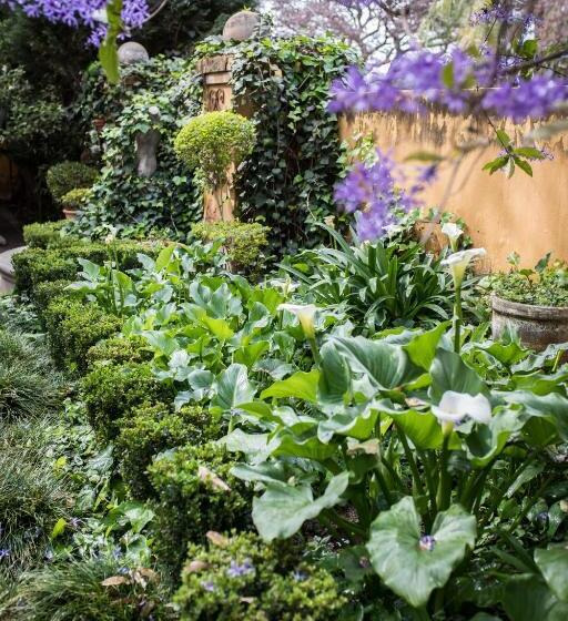 סוויטה דלוקס, Godiva Spa & Guesthouse