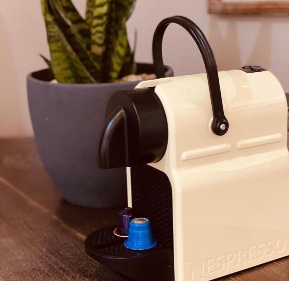 סוויטה אקזקיוטיב, Godiva Spa & Guesthouse