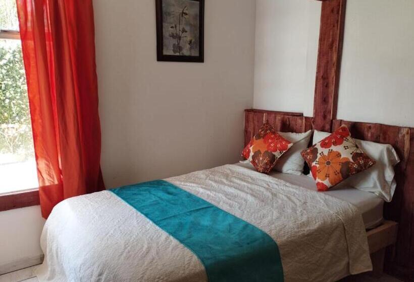 غرفة قياسية مطلّة علي حمام السباحة, Loma Tranquila