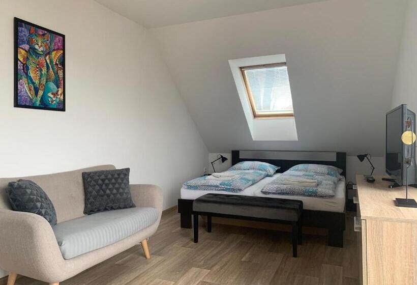 Standard Szoba Erkéllyel, Penzion Karlov