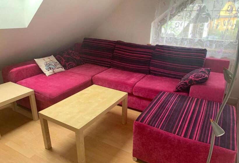 带2个卧室的公寓, Penzion Karlov