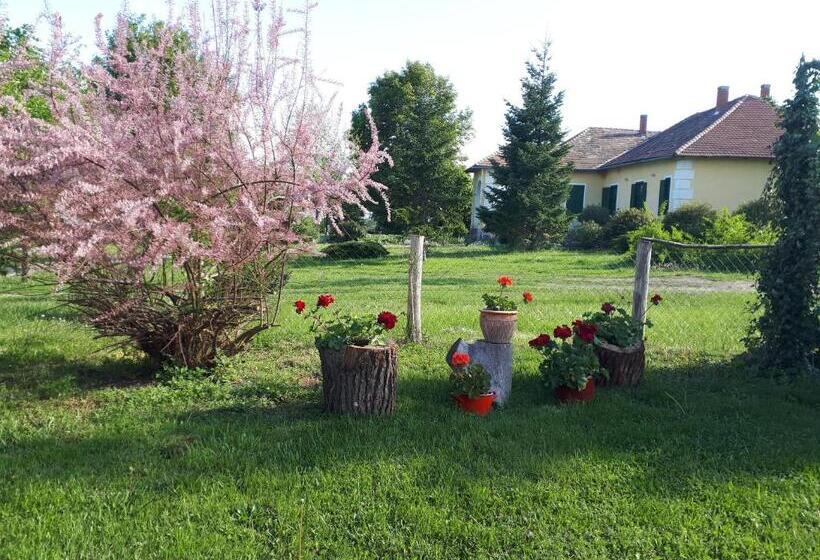 חדר משפחתי, Véndektanya Vendégház