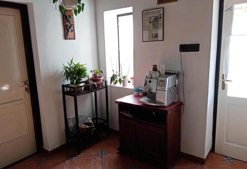 חדר משפחתי, Véndektanya Vendégház