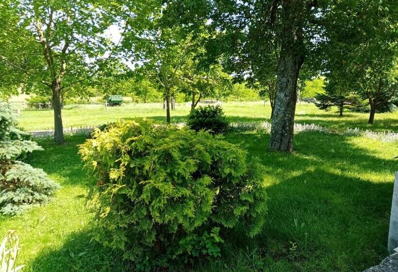 חדר סטנדרט, Véndektanya Vendégház