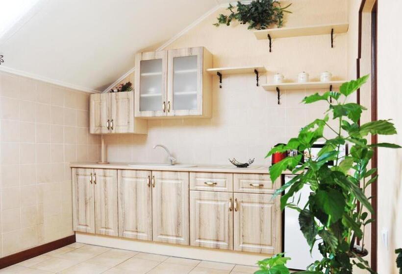 침실 1개 발코니 아파트, Zatyshok