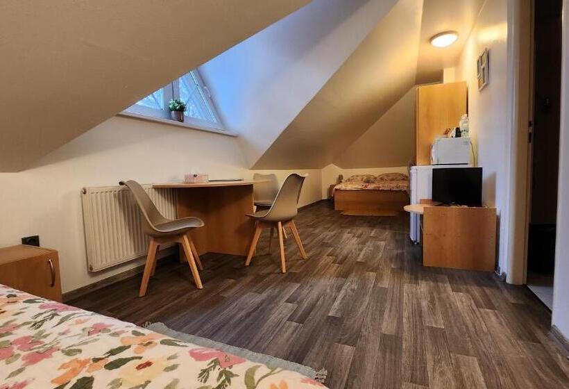 غرفة قياسية ثلاثية, Penzion Tcv Pardubice