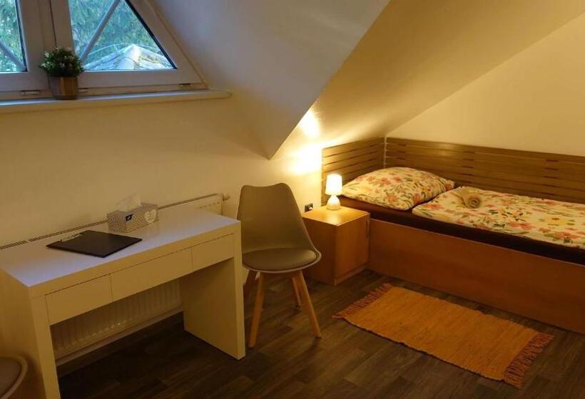 غرفة قياسية, Penzion Tcv Pardubice